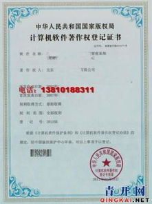 計(jì)算機(jī)軟件著作權(quán)登記代辦與企業(yè)管理咨詢(xún) 賦能企業(yè)創(chuàng)新發(fā)展的雙翼